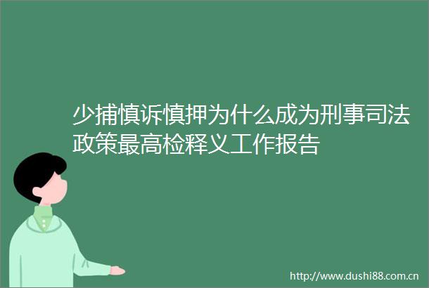 少捕慎诉慎押为什么成为刑事司法政策最高检释义工作报告