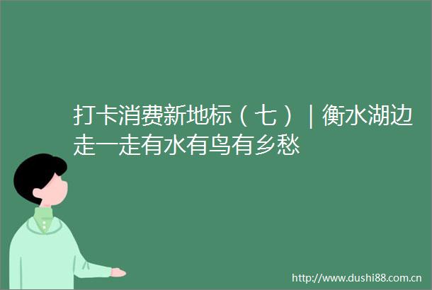 打卡消费新地标（七）｜衡水湖边走一走有水有鸟有乡愁