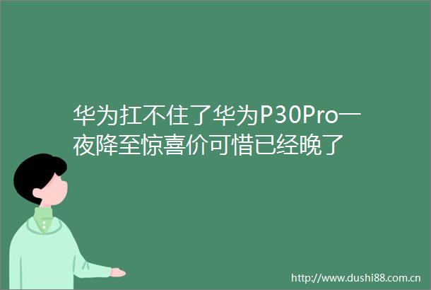 华为扛不住了华为P30Pro一夜降至惊喜价可惜已经晚了