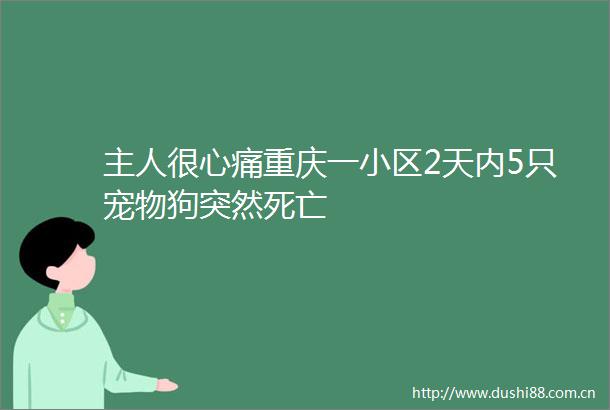 主人很心痛重庆一小区2天内5只宠物狗突然死亡