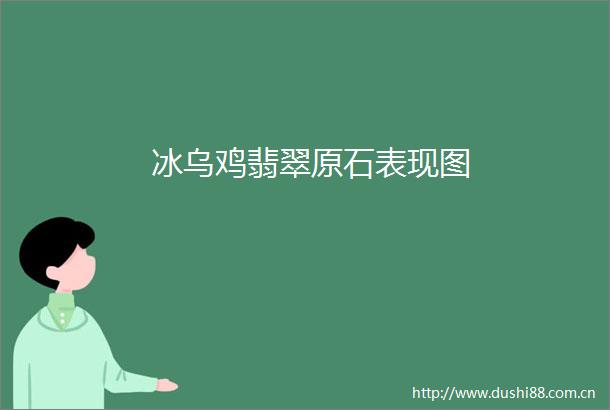 冰乌鸡翡翠原石表现图