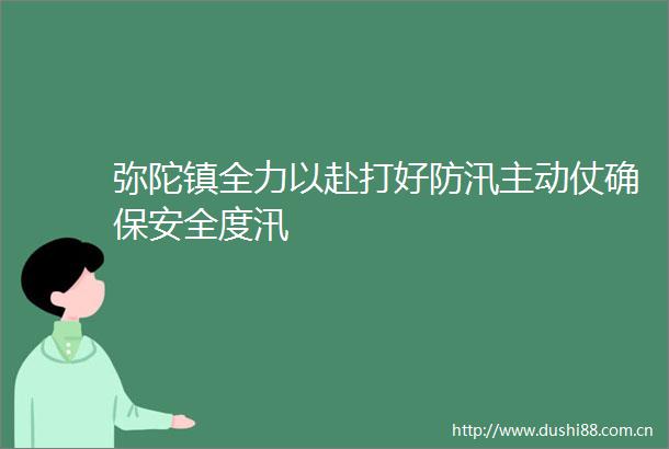 弥陀镇全力以赴打好防汛主动仗确保安全度汛