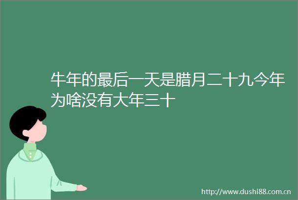 牛年的最后一天是腊月二十九今年为啥没有大年三十