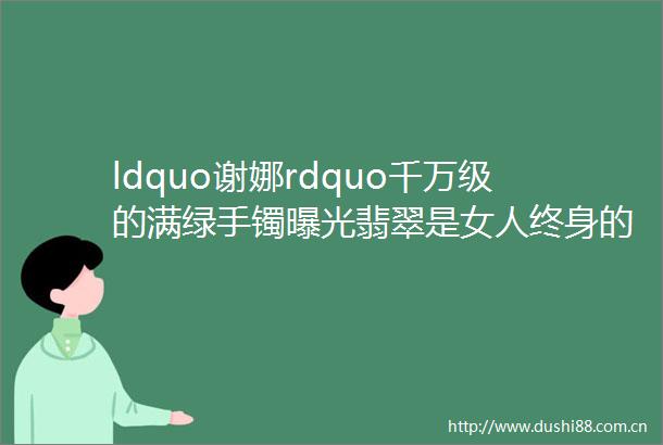 ldquo谢娜rdquo千万级的满绿手镯翡翠是女人终身的保险柜