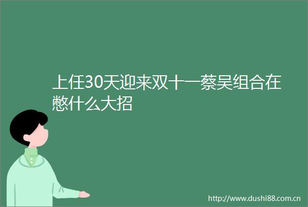 上任30天迎来双十一蔡吴组合在憋什么大招
