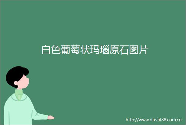 白色葡萄状玛瑙原石图片