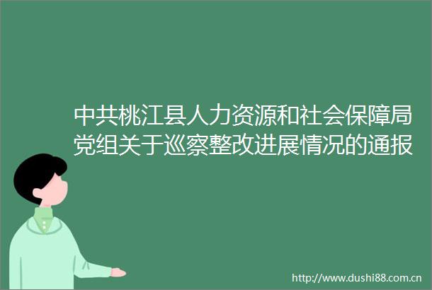 桃江县人力资源和社会保障局党组关于巡察整改进展情况的通报