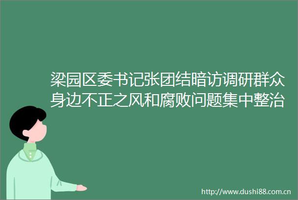 梁园区委书记张团结暗访调研群众身边不正之风和问题集中整治工作