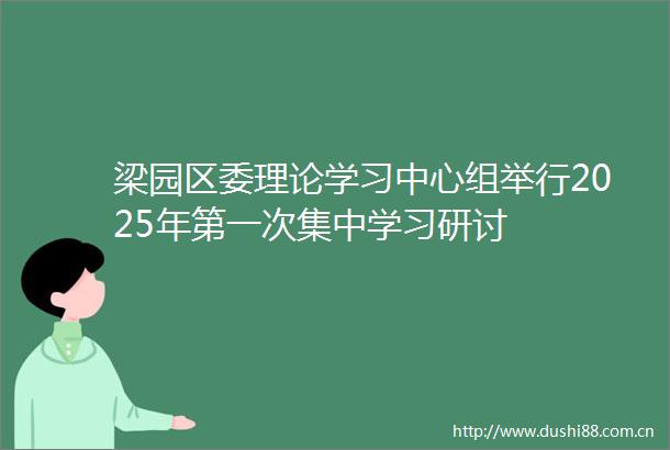梁园区委理论学习中心组举行2025年第一次集中学习研讨