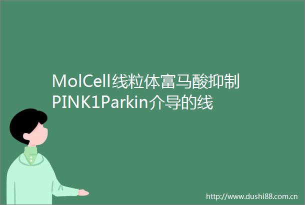 MolCell线粒体富马酸抑制PINK1Parkin介导的线粒体自噬