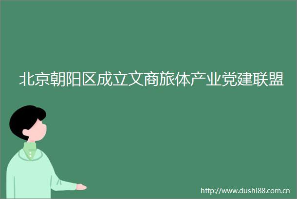 北京朝阳区成立文商旅体产业党建联盟