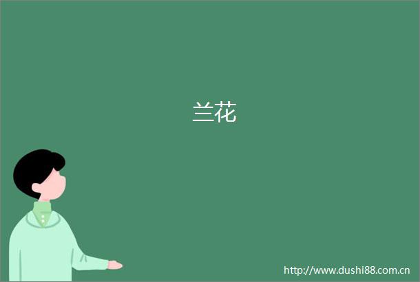 兰花