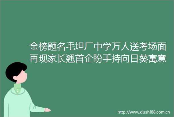 金榜题名毛坦厂中学万人送考场面再现家长翘首企盼手持向日葵寓意一举夺魁