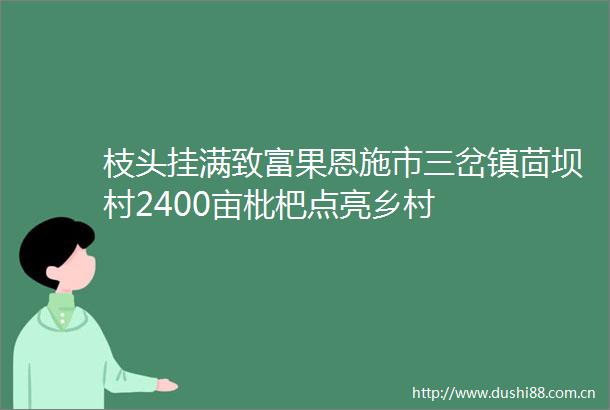 枝头挂满致富果恩施市三岔镇茴坝村2400亩枇杷点亮乡村