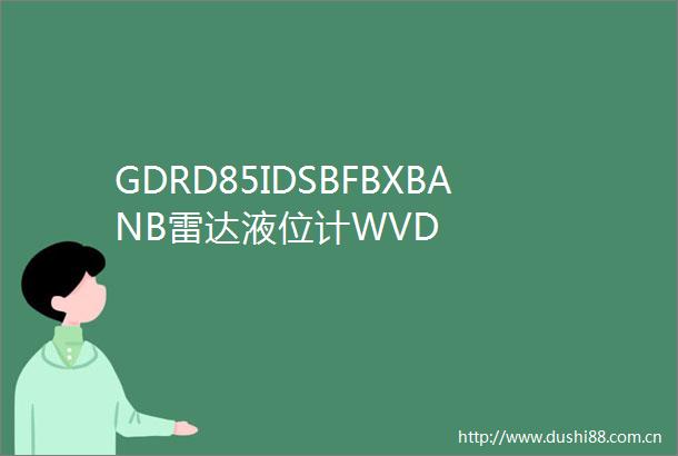GDRD85IDSBFBXBANB雷达液位计WVD