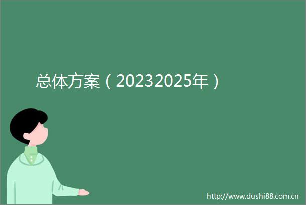 总体方案（20232025年）