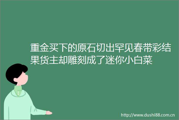 重金买下的原石切出罕见春带彩结果货主却雕刻成了迷你小白菜