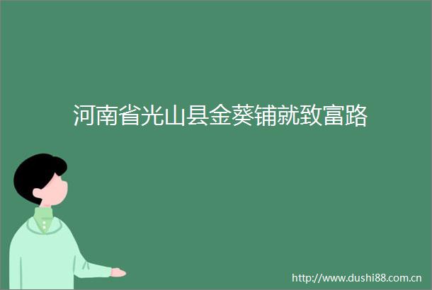 河南省光山县金葵铺就致富路