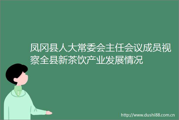 凤冈县人大常委会主任会议成员视察全县新茶饮产业发展情况