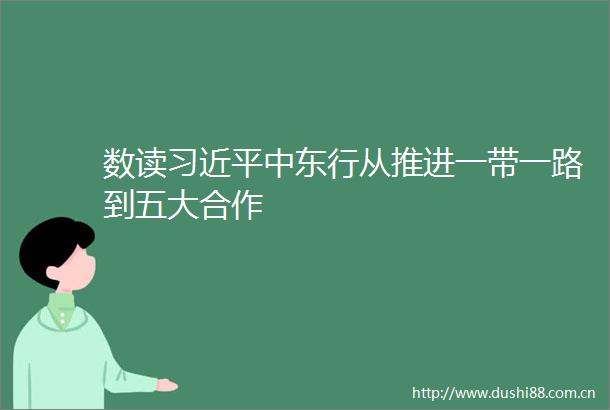 数读中东行从推进一带一路到五大合作