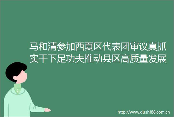 马和清参加西夏区代表团审议真抓实干下足功夫推动县区高质量发展