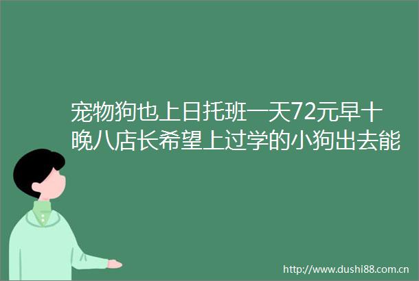 宠物狗也上日托班一天72元早十晚八店长希望上过学的小狗出去能受人待见