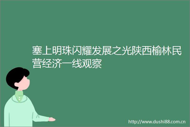 塞上明珠闪耀发展之光陕西榆林民营经济一线观察