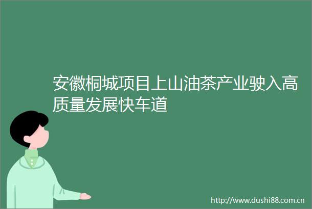 安徽桐城项目上山油茶产业驶入高质量发展快车道