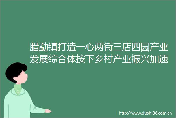 腊勐镇打造一心两街三店四园产业发展综合体按下乡村产业振兴加速键