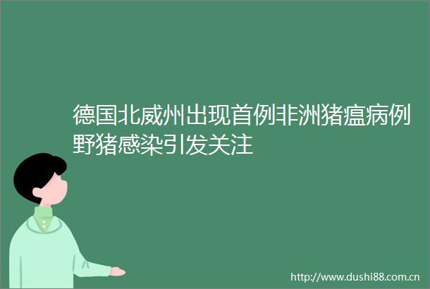 德国北威州出现首例非洲猪瘟病例野猪感染引发关注