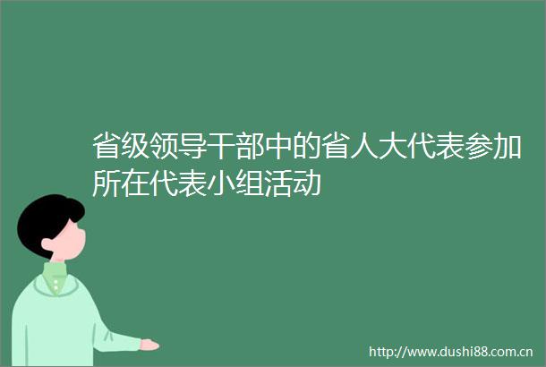 省级中的省人大代表参加所在代表小组活动