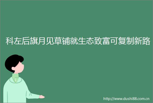 科左后旗月见草铺就生态致富可复制新路