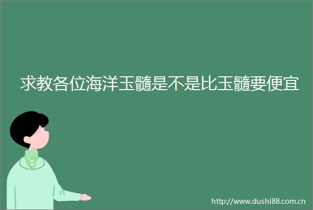 求教各位海洋玉髓是不是比玉髓要便宜