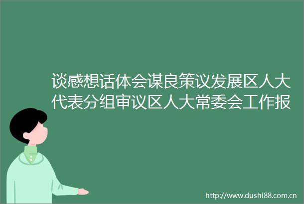 谈感想话体会谋良策议发展区人大代表分组审议区人大常委会工作报告和两院工作报告