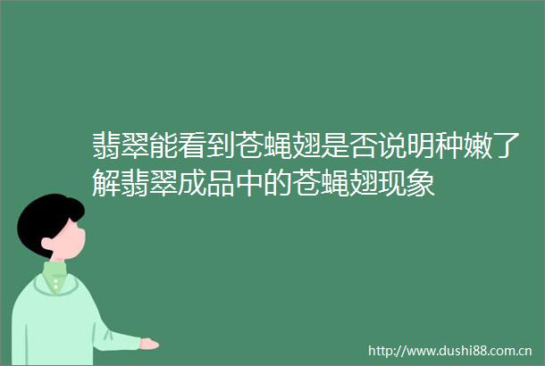 翡翠能看到苍蝇翅是否说明种嫩了解翡翠成品中的苍蝇翅现象