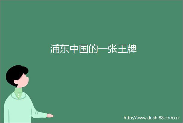 浦东的一张王牌