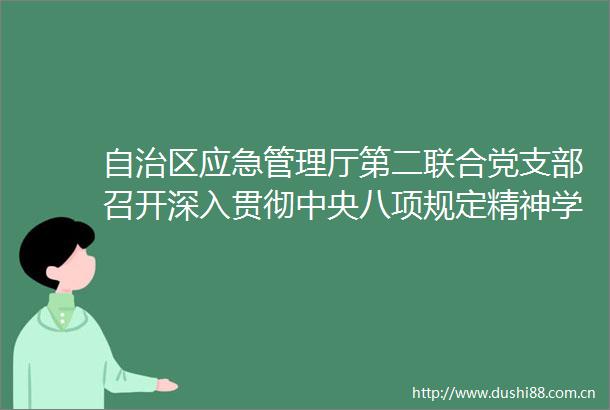 自治区应急管理厅第二联合党支部召开深入贯彻中央八项规定精神学习教育警示教育会