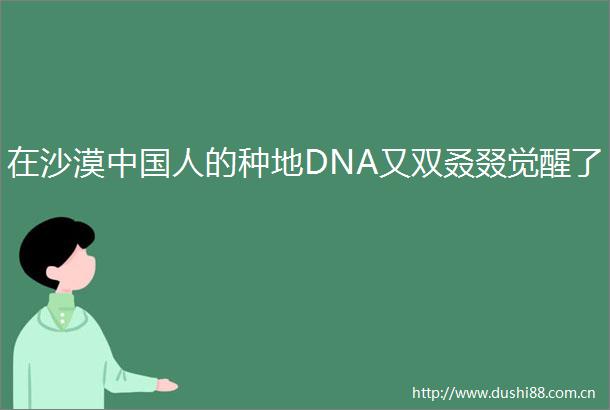 在沙漠人的种地DNA又双叒叕觉醒了