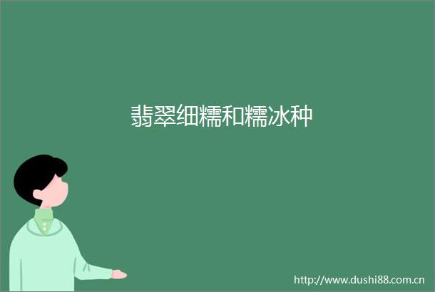 翡翠细糯和糯冰种