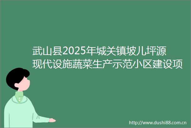 武山县2025年城关镇坡儿坪源现代设施蔬菜生产示范小区建设项目材料采购项目第一批成交公告
