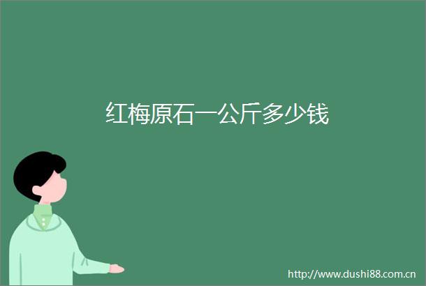 红梅原石一公斤多少钱