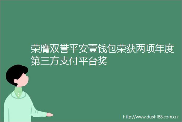 荣膺双誉平安壹钱包荣获两项年度第三方支付平台奖