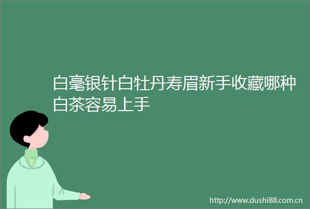 白毫银针白牡丹寿眉新手收藏哪种白茶容易上手
