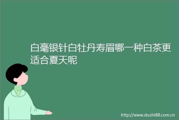 白毫银针白牡丹寿眉哪一种白茶更适合夏天呢