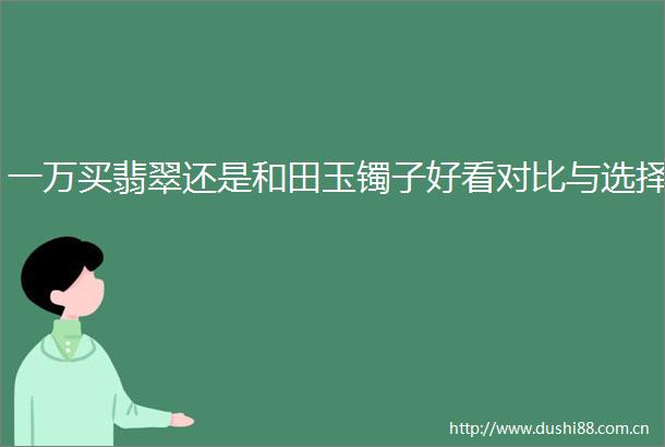 一万买翡翠还是和田玉镯子好看对比与选择