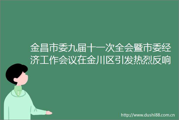 金昌市委九届十一次全会暨市委经济工作会议在金川区引发热烈反响