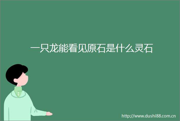 一只龙能看见原石是什么灵石
