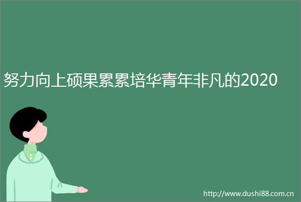 努力向上硕果累累培华青年非凡的2020