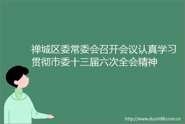 禅城区委常委会召开会议认真学习贯彻市委十三届六次全会精神