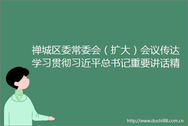 禅城区委常委会（扩大）会议传达学习贯彻总书记重要讲话精神和全国两会精神